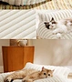 Washable Striped Plush Pet Sofa Bed | Removable Cover Dog & Cat Couch Bed
